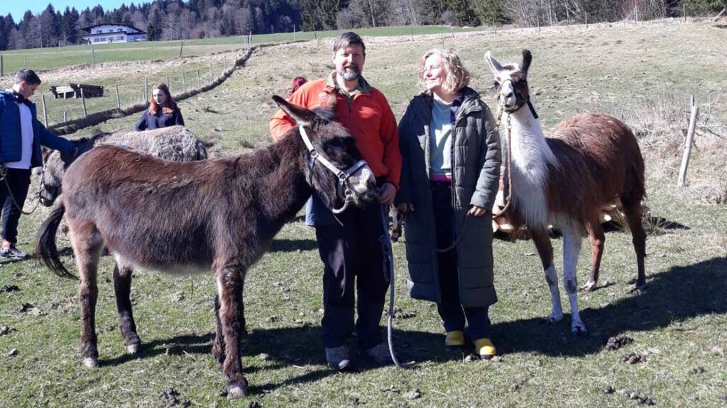 Green Care Hof im Brixental Bergbauernhof z`Pfoin